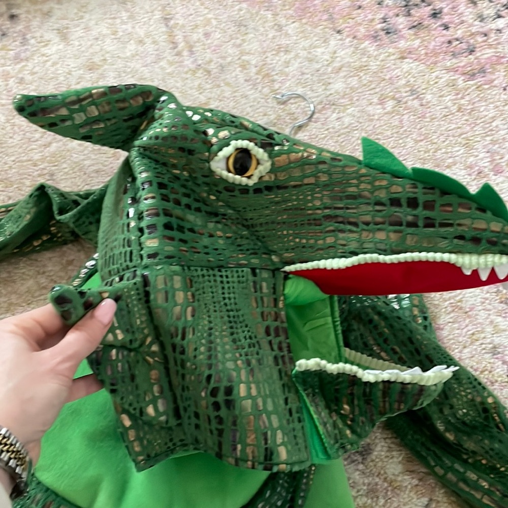 Pottery Barn kids Halloween dragon costume